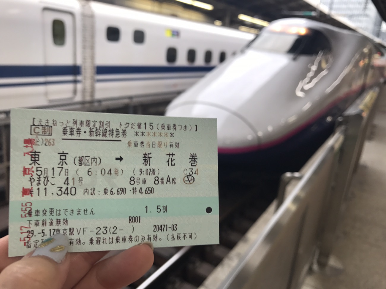 東京 盛岡 新幹線 から 東京〜盛岡の移動手段まとめ【2021年度版】