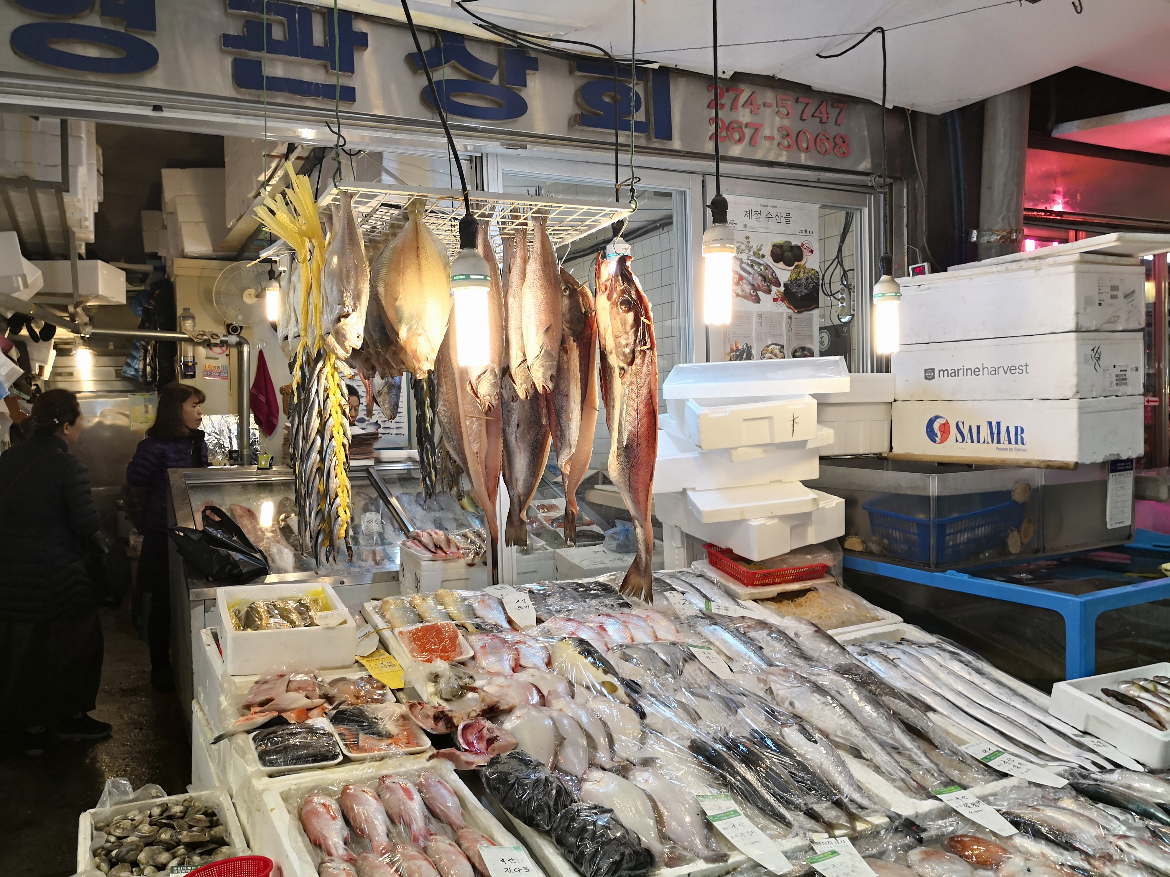 広蔵市場魚や　韓国グルメ
