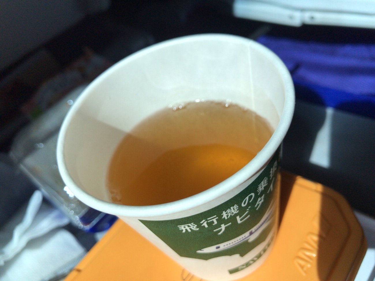 ANA 茅乃舎のスープ 機内食ブログレポート