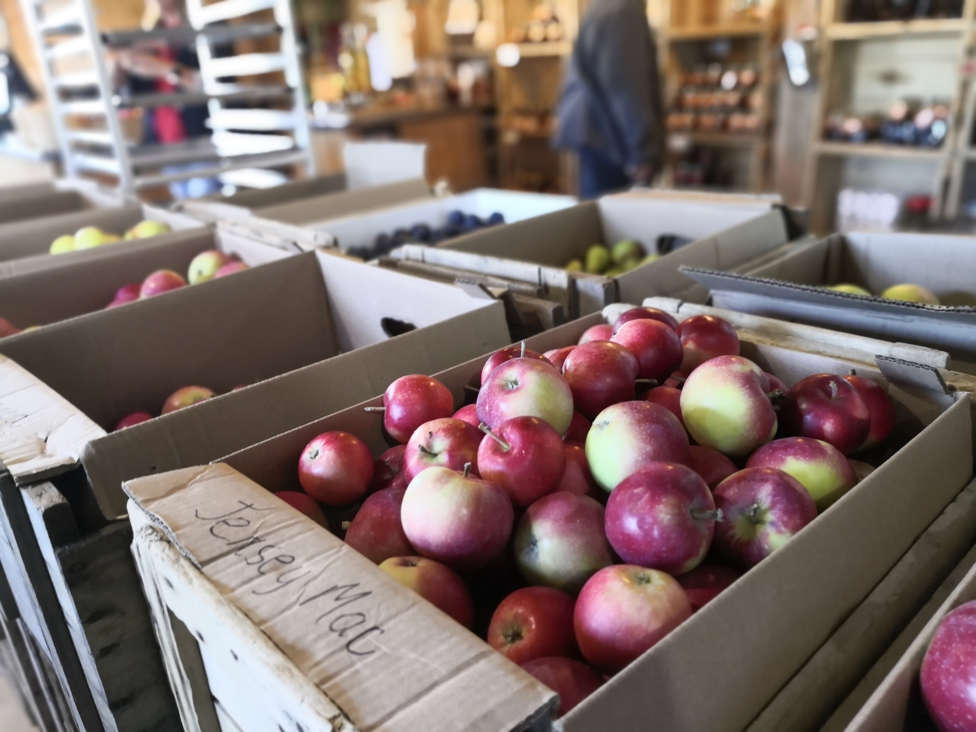 ローレンシャンお土産おすすめリンゴ農園