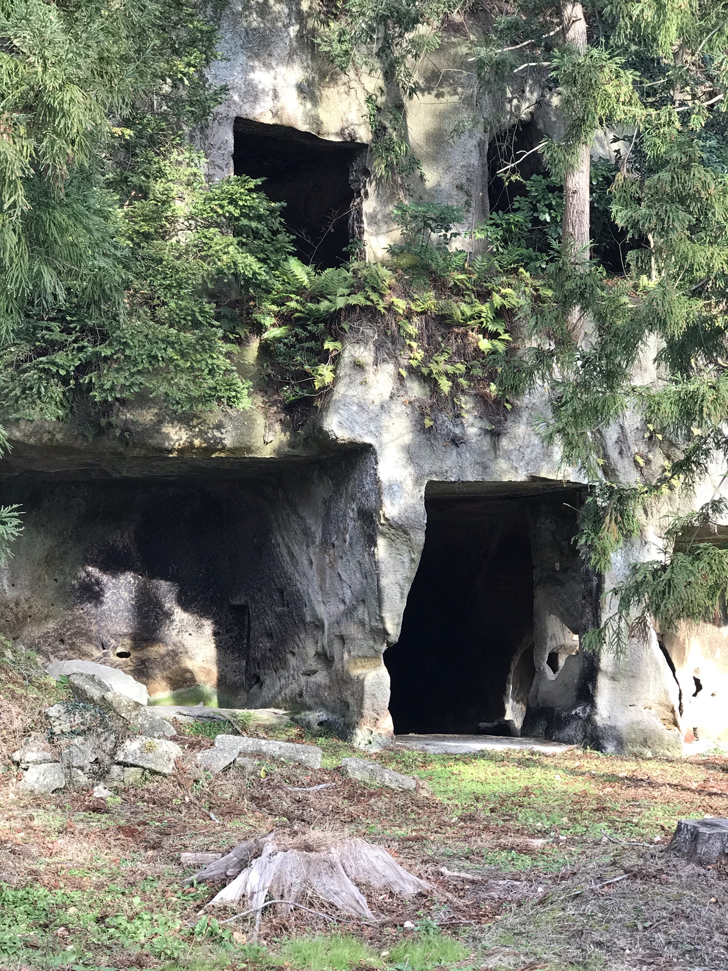 松島観光おすすめ　瑞巌寺　洞窟