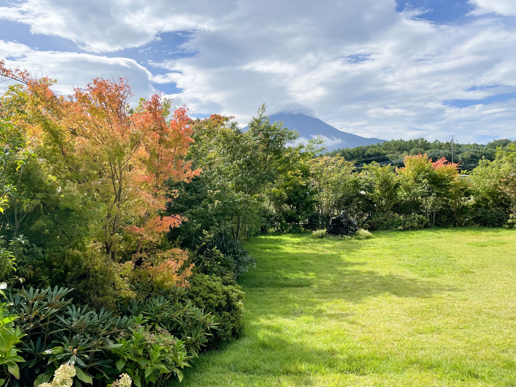 富士山が見えるアブラサスホテルの庭